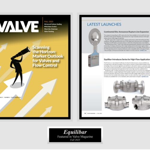 Elizabeth Jennings Acrylic clear plaque two pages Valve magazine 012726